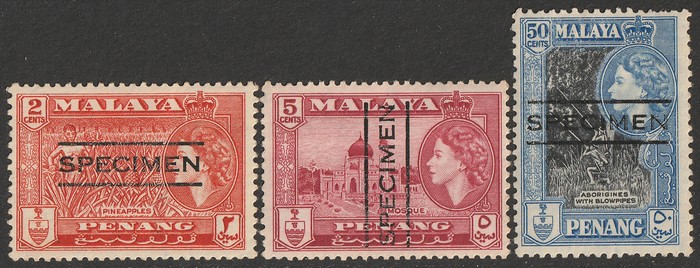 Lot 2528