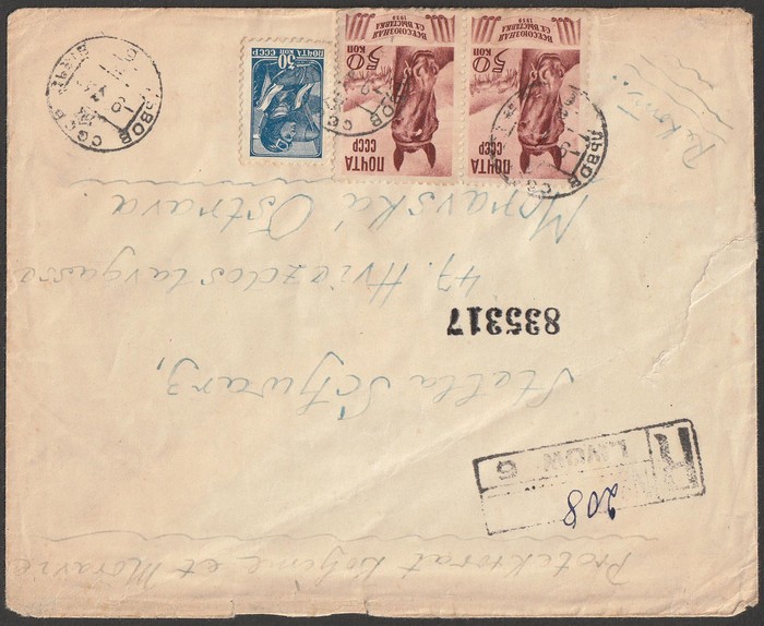 Lot 2881